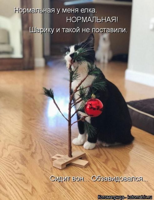Котоматрицы для подзарядки позитивом))) Котоматрицы для подзарядки позитивом)))