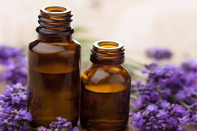 <a  data-cke-saved-href='http://econet.ru/articles/tagged?tag=%D0%BA%D0%B0%D0%BF%D0%BB%D0%B8' href='http://econet.ru/articles/tagged?tag=%D0%BA%D0%B0%D0%BF%D0%BB%D0%B8' target='_blank'></a>   