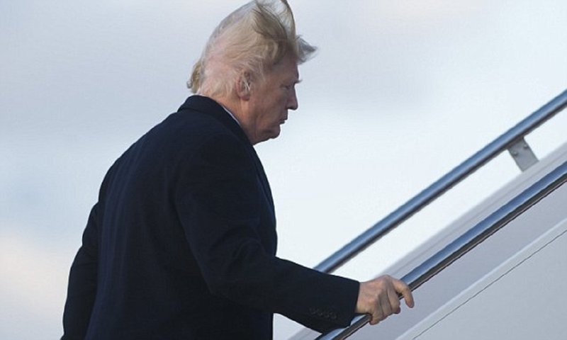 Носит ли Дональд Трамп парик? Носит ли Дональд Трамп парик? Дональд Трамп, волосы, ложь президента, лысина, неожиданно, парик, президент сша, прическа