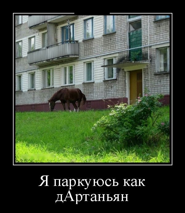 Демотиваторы для хорошего настроения