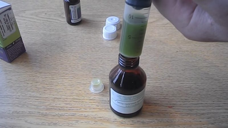 Самый приятный и простой способ избавиться от мышей