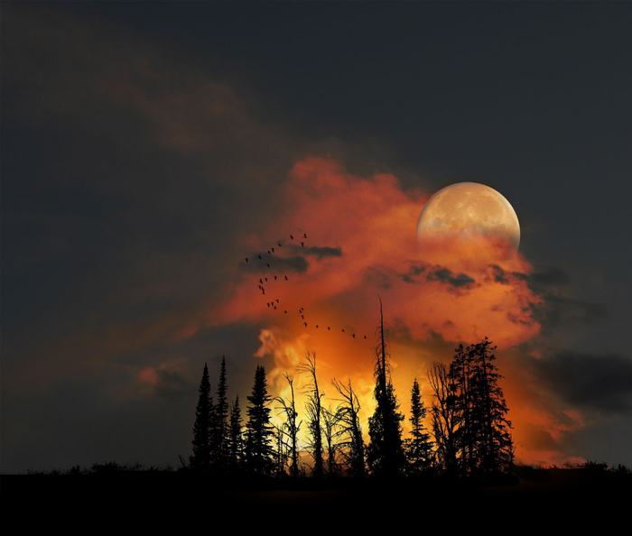 Peter Holme III Tutt'Art@ (41) (700x594, 250Kb)