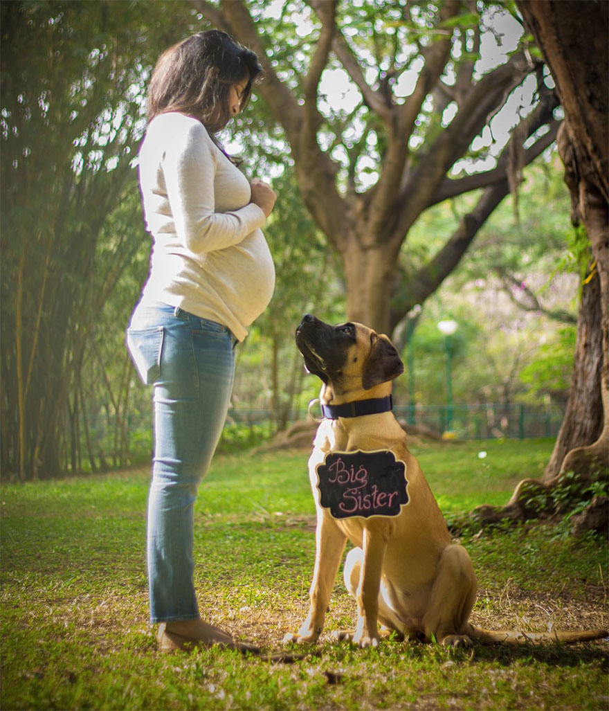 pregnant-couple-dogs-photoshoot-18