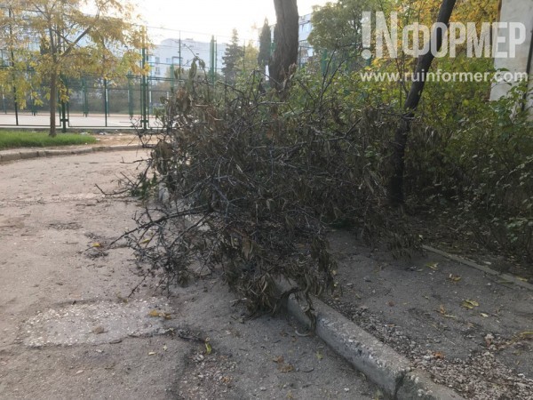 Упало в Севастополе и давай валяться...