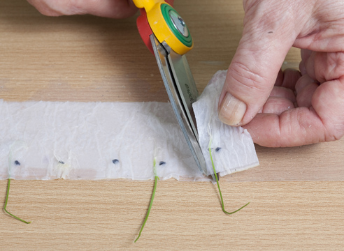 ��� �� ������ �������  ������� ������ � ������