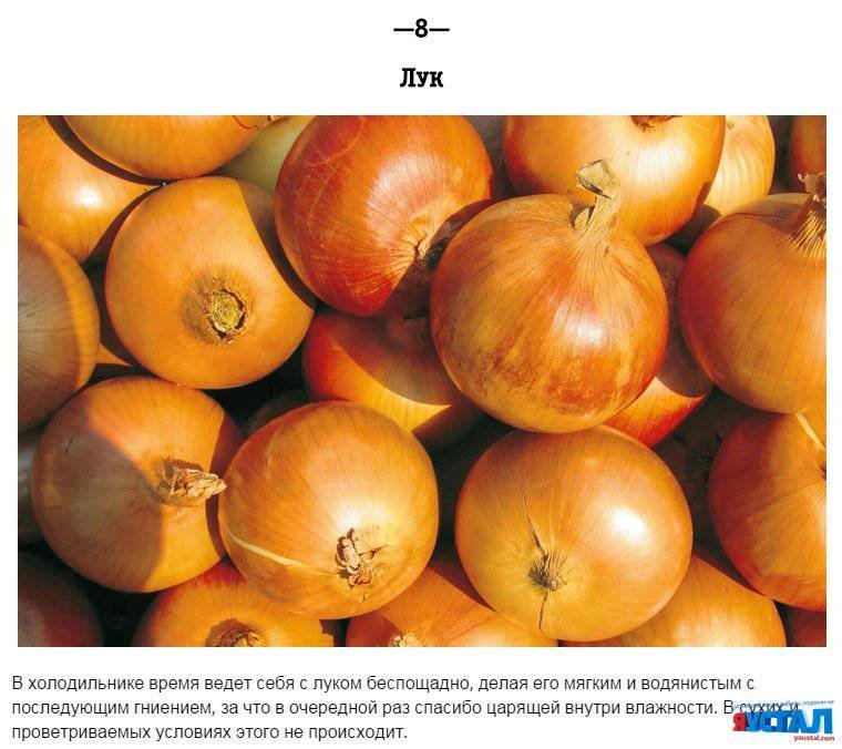 ПРОДУКТЫ, КОТОРЫЕ НЕЛЬЗЯ ХРАНИТЬ В ХОЛОДИЛЬНИКЕ