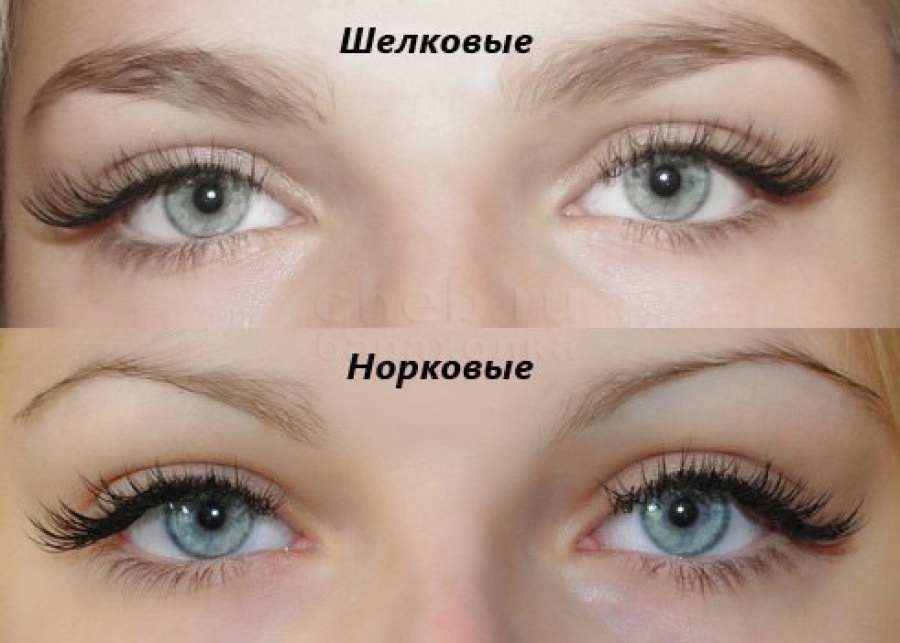 В чем отличие ресниц из норки и В чем отличие ресниц из норки и