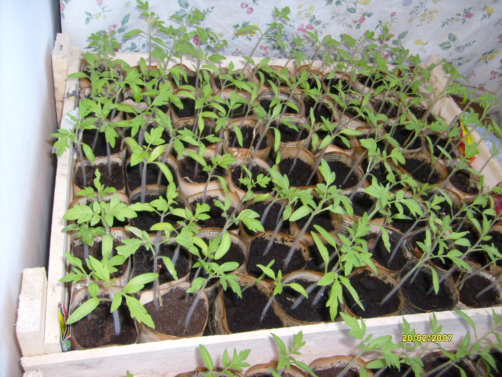 Вечный календарь кубиками своими руками 20