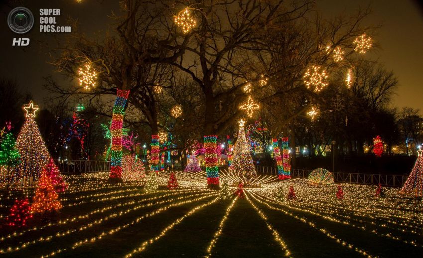 Праздник, Фото, Красиво