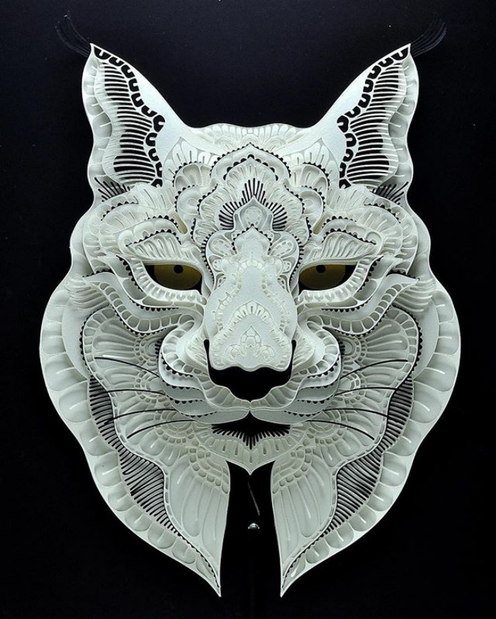 Lynx