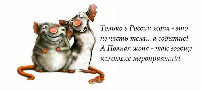 Скачать смешные цитаты с картинками Скачать смешные цитаты с картинками