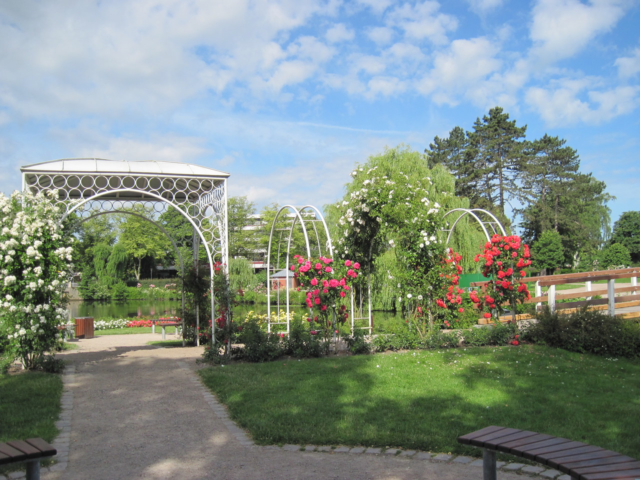 ПАРК РОЗ В ГЕРМАНИИ/ 'ROSARIUM UETERSEN'