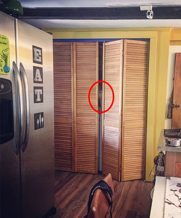 Коты — мастера камуфляжа Коты — мастера камуфляжа