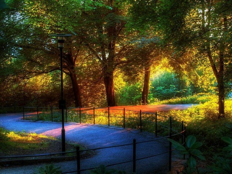 Природа России 5 Природа России 5