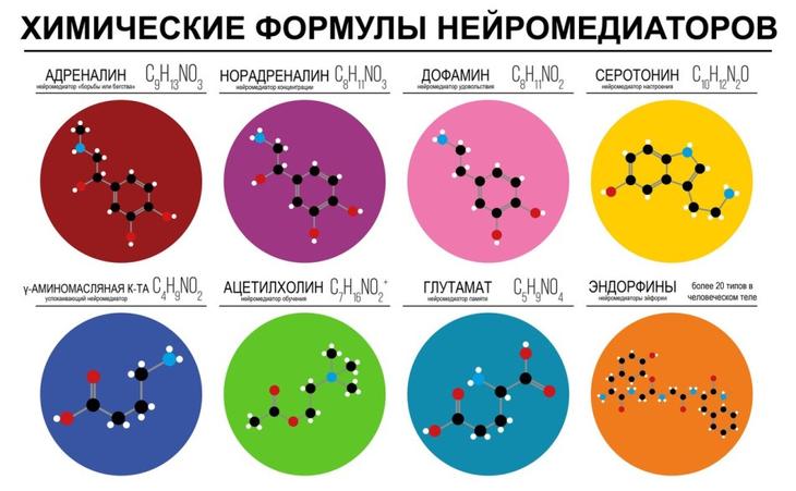 Гормоны - это химические вещества