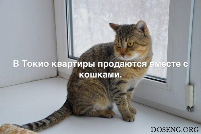 Любопытные и интересные факты обо всем на свете Любопытные и интересные факты обо всем на свете