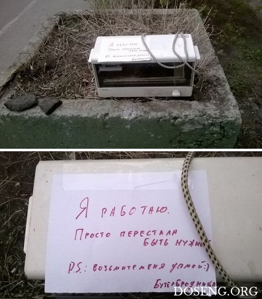 Прикольные картинки Прикольные картинки