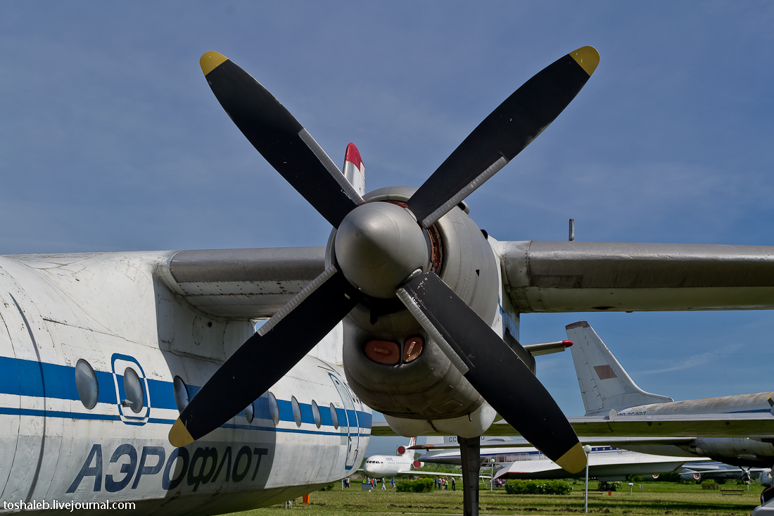 Aviation Museum-18