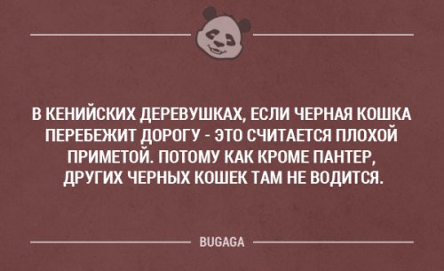 ������� ����� � �������� �����. ����� 21 (20 ��)