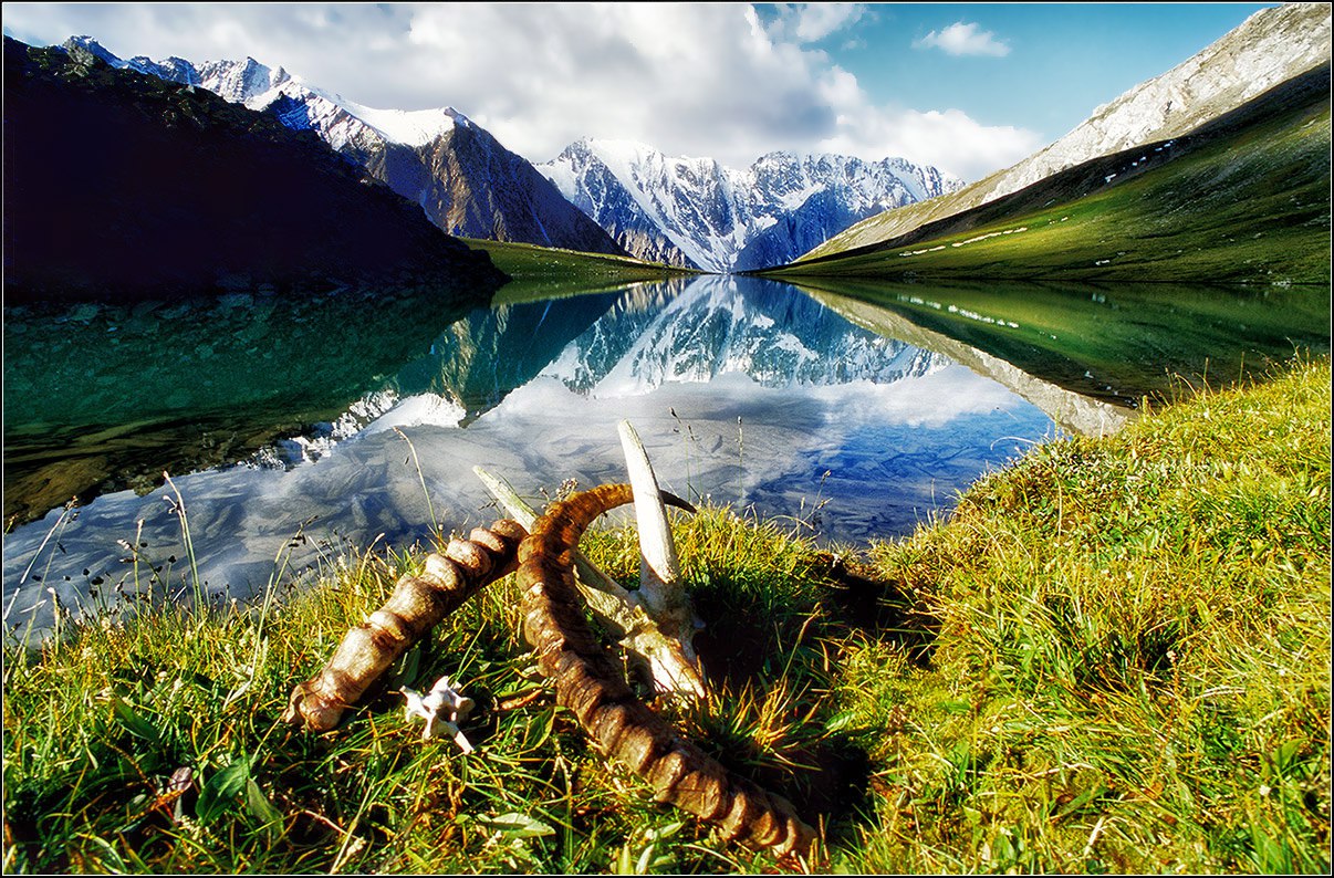 Природа России 6 Природа России 6
