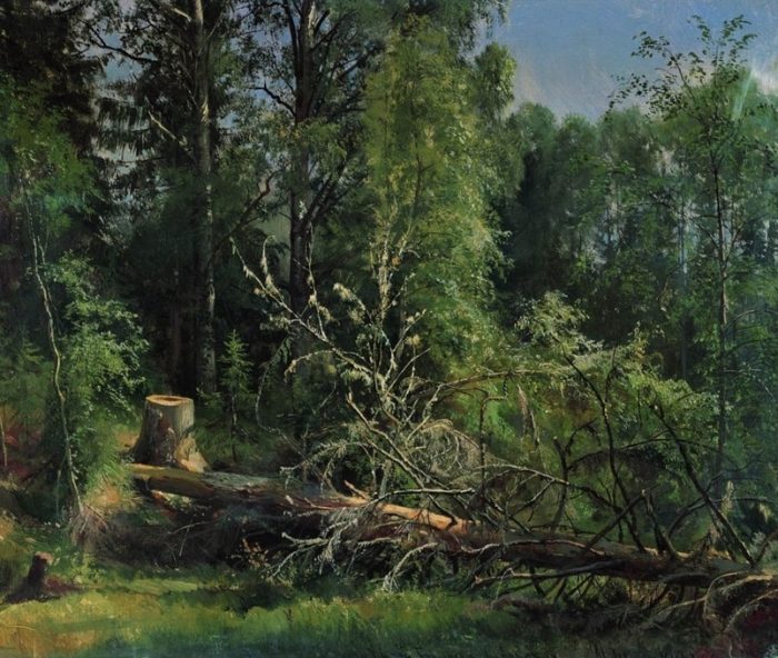 пейзажи Ивана Шишкина -4-01 художник Иван Шишкин картины -4-01
