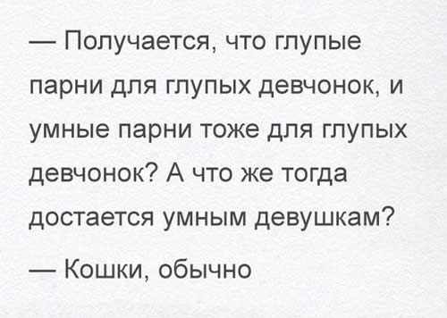 Интересные и смешные анекдоты с картинками