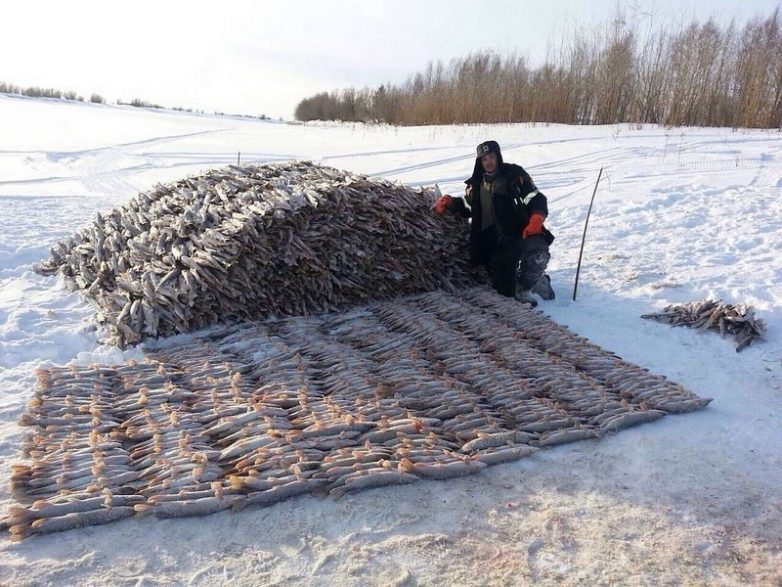 Это Россия, детка. Уморительно!