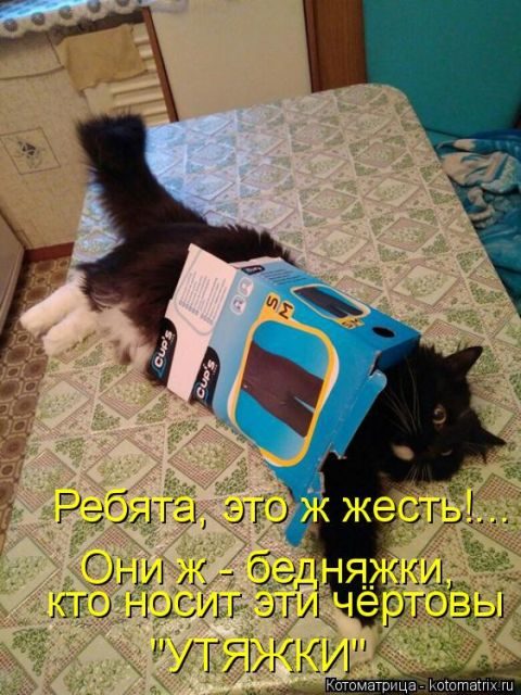Котоматрицы для подзарядки позитивом))) Котоматрицы для подзарядки позитивом)))