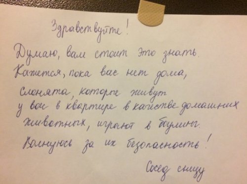 Смешные соседские объявления (16 фото) Смешные соседские объявления (16 фото)
