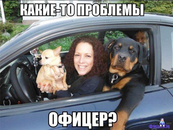 Фотоподборка автоприколов. Часть 36 авто, автоприколы, приколы