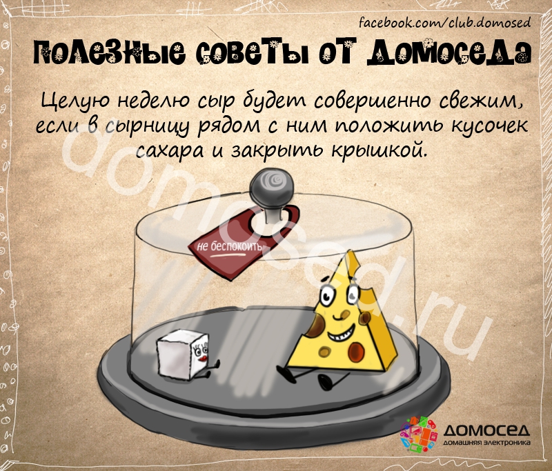 Хранение сыра Хранение сыра