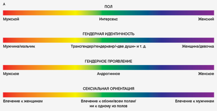 Альфред Кинси считал свое исследование подтверж...