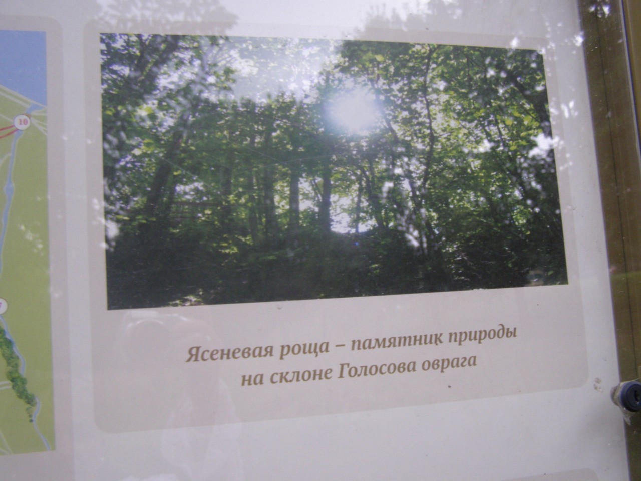 Прогулки по Коломенскому. Храм Усекновения главы Иоанна Предтечи. Голосов овраг. Прогулки по Коломенскому. Храм Усекновения главы Иоанна Предтечи. Голосов овраг.