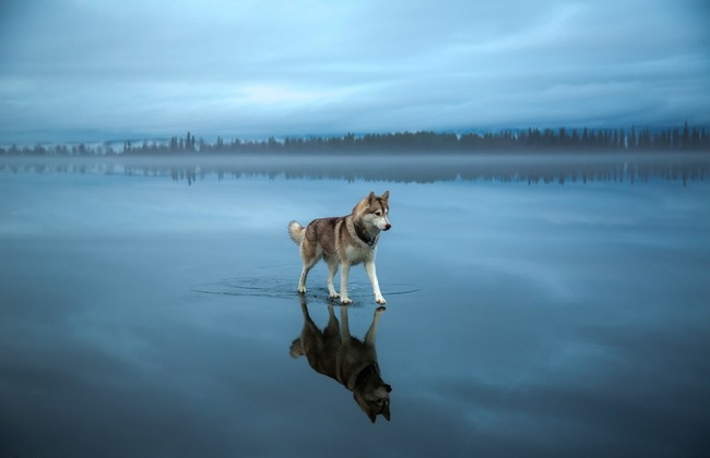 20 поразительных фотографий, нарушающих законы физики 20 поразительных фотографий, нарушающих законы физики