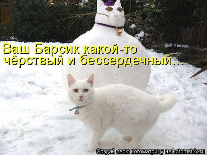 Котоматрицы :)