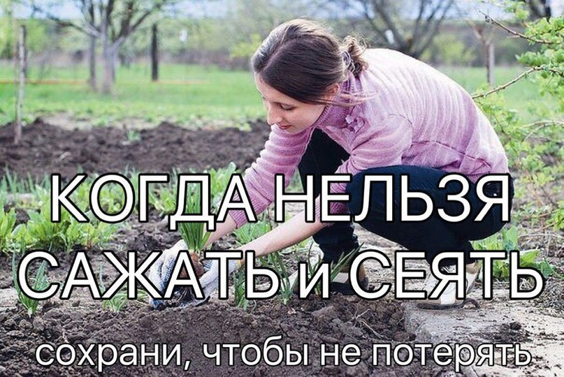 Дизайн ногтей на Новый год 2016 - новогодний маникюр Дизайн ногтей на Новый год 2016 - новогодний маникюр