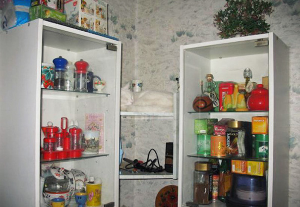 Коты — мастера камуфляжа Коты — мастера камуфляжа