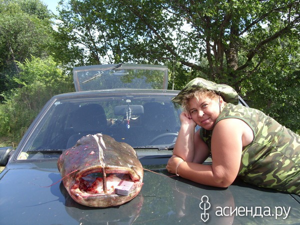 Хозяин реки... Хозяин реки...