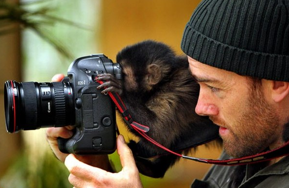 начинающему фотографу на заметку/1354286894_fotograf (595x388, 348Kb)