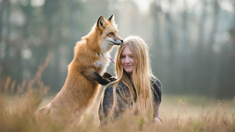 Фотосессия проходила в живописном лесу, и у хищницы даже в мыслях не было сбежать - она с удовольствием позировала на камеру! Фотосессия проходила в живописном лесу, и у хищницы даже в мыслях не было сбежать - она с удовольствием позировала на камеру! животные, лиса, фото, фотограф