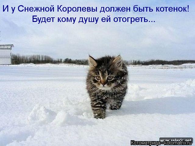 Котоматрица: И у Снежной Королевы должен быть котенок! Будет кому душу ей отогреть...