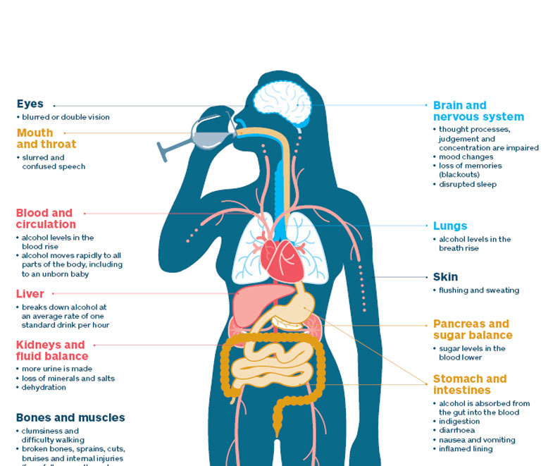 Как алкоголь влияет на организм человека