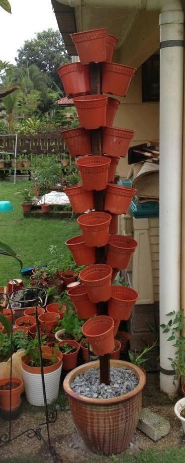 Hanging garden:  http://myhomemygardenmyrules.blogspot.com