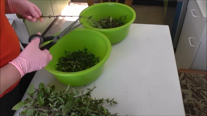 Нетривиальный рецепт с мятой: невероятно вкусно, душисто и нежно