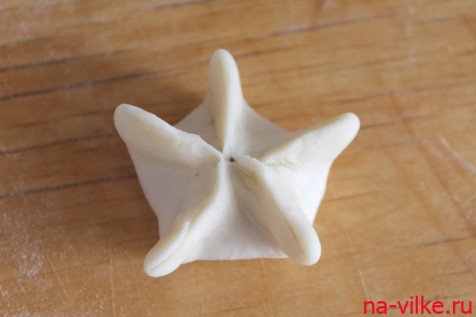 Пельмень с 5-ю лучами