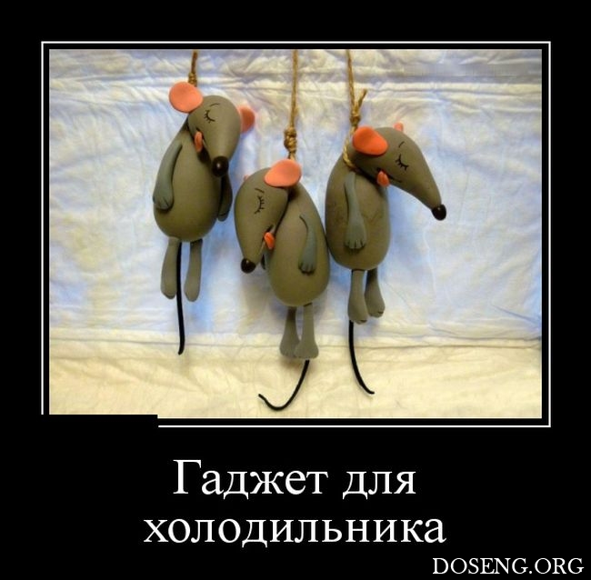 Демотиваторы Демотиваторы