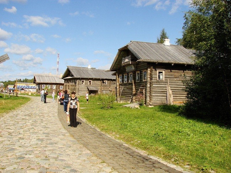 Верхние Мандроги, деревня в Ленинградской области Верхние Мандроги, Ленинградская область, деревня, фоторепортаж