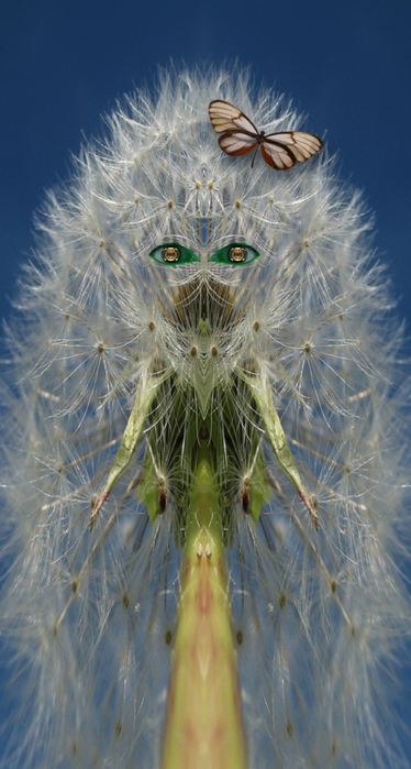 28cef8809728 (374x700, 483Kb)