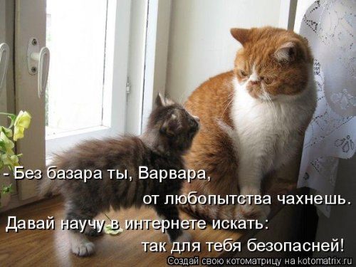 Самые уморительные котоматрицы) Самые уморительные котоматрицы)