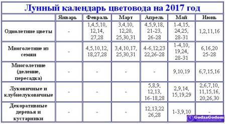 Посевной календарь огородника на 2017 год Посевной календарь огородника на 2017 год